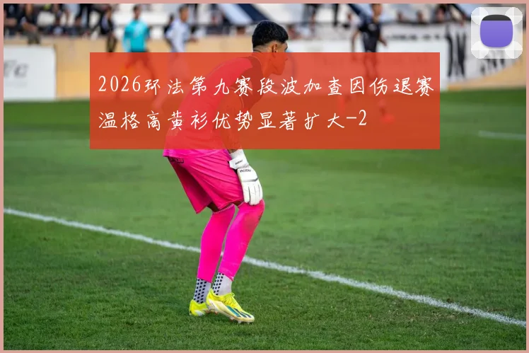 2026环法第九赛段波加查因伤退赛温格高黄衫优势显著扩大
