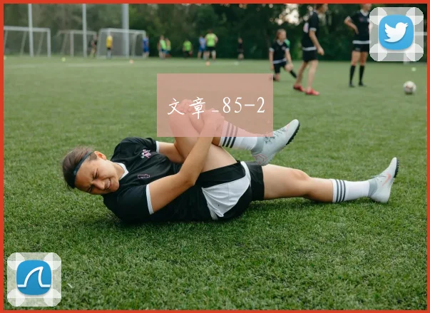 文章_85
